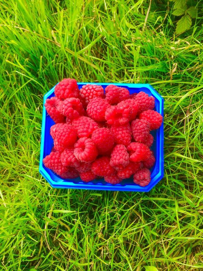 Mo Gardsferie-Pers Frukthage Villa Oystese Ngoại thất bức ảnh