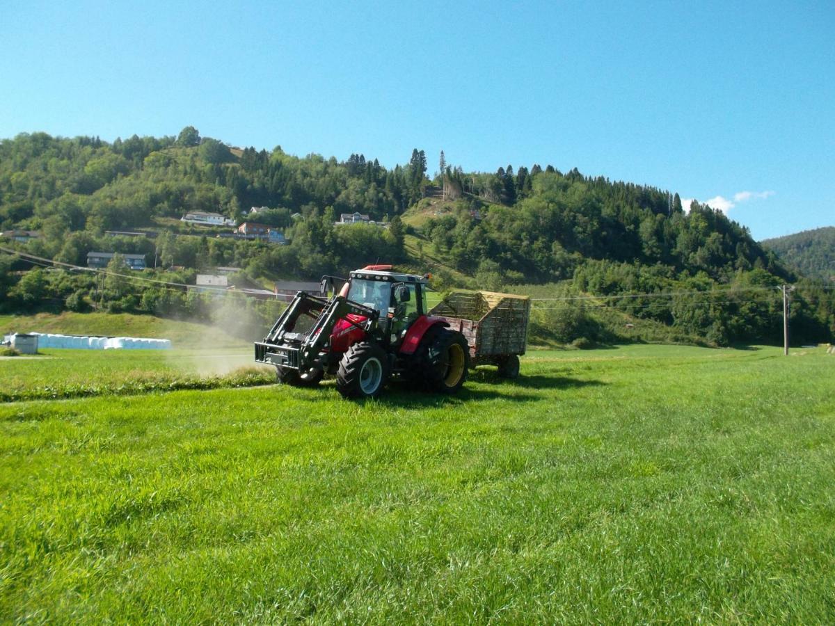 Mo Gardsferie-Pers Frukthage Villa Oystese Ngoại thất bức ảnh